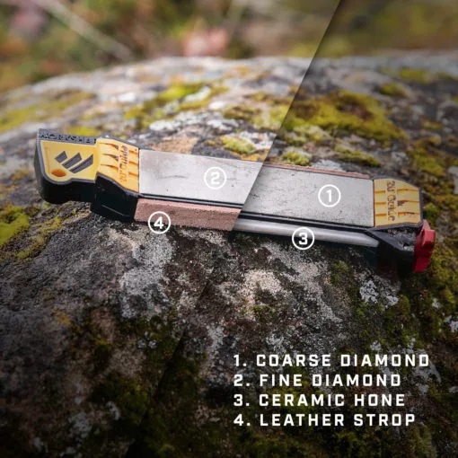Guided Field Sharpener - Image 3
