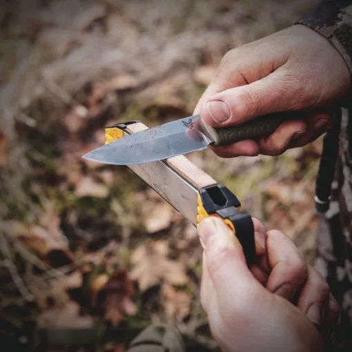 Guided Field Sharpener - Image 7