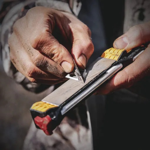 Guided Field Sharpener - Image 9